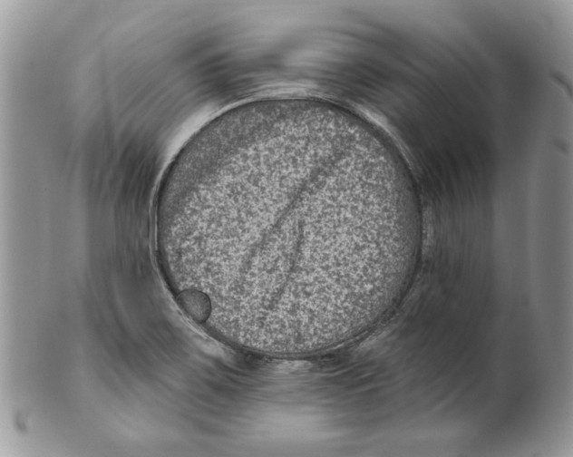 X0000099561467200806131223