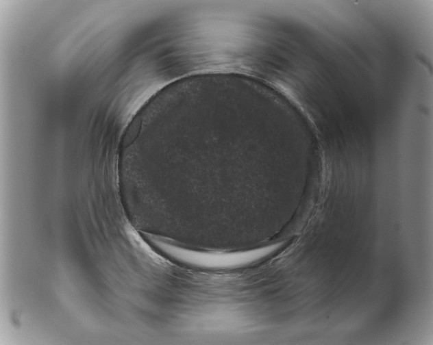 X0000099561468200806131223