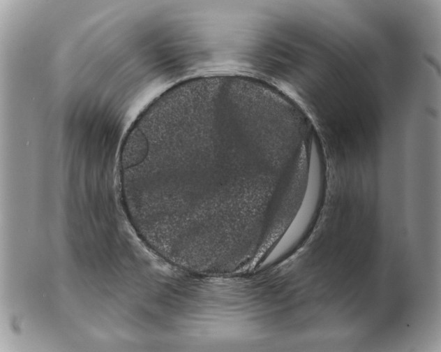 X0000099561469200806131223