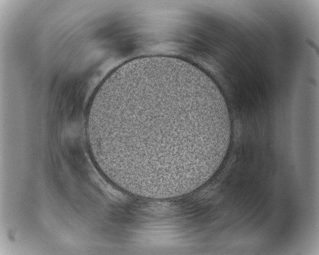 X0000099561470200806131223