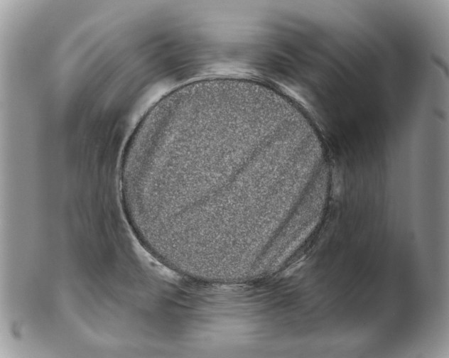 X0000099561471200806131223