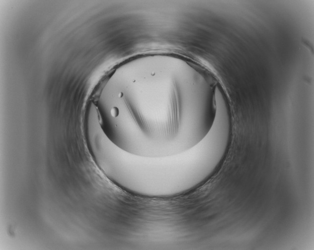 X0000099561472200806131223