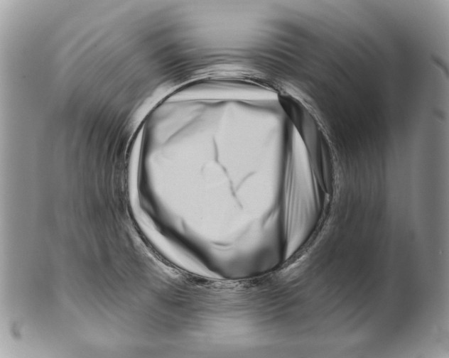 X0000099561473200806131223