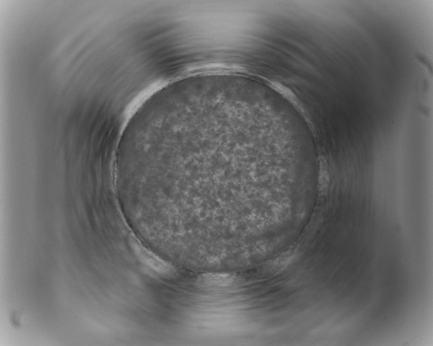 X0000099561474200806131223