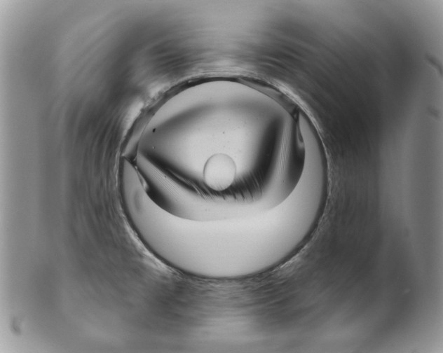 X0000099561477200806131223