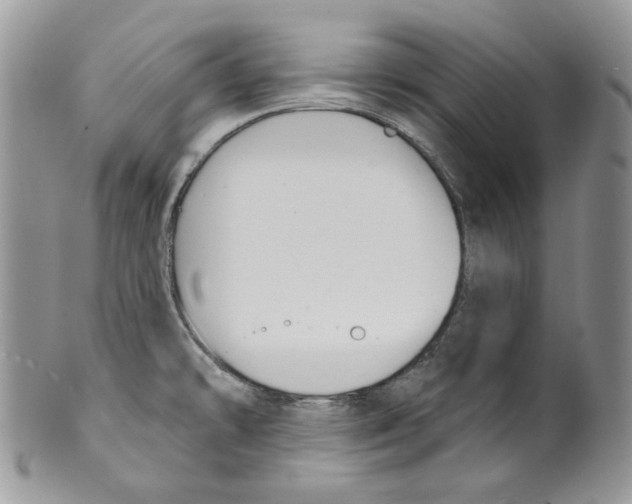 X0000099561478200806131223