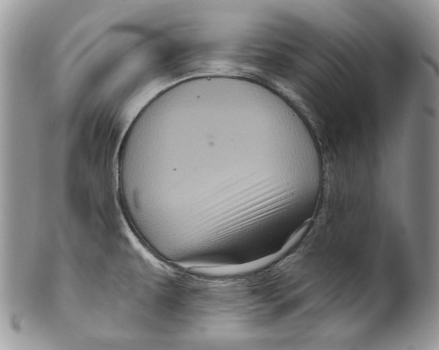 X0000099561479200806131223