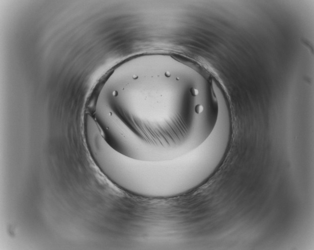 X0000099561480200806131223