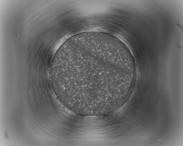 X0000099561481200806131223