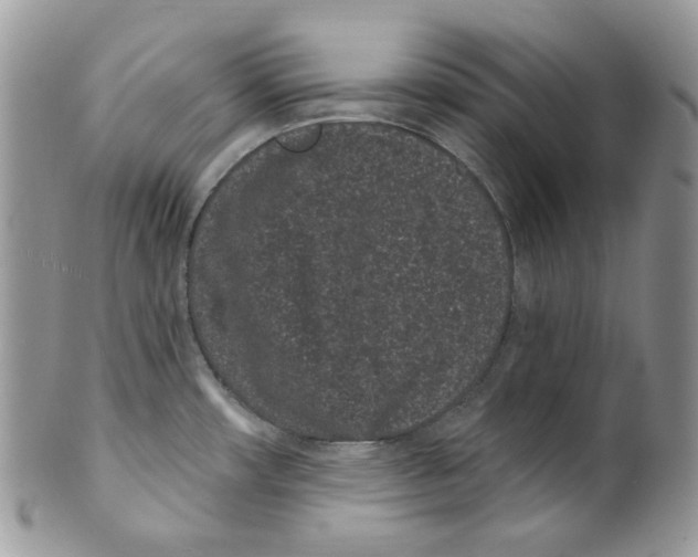 X0000099561482200806131223