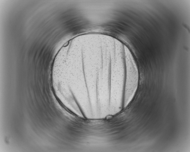 X0000099561483200806131223