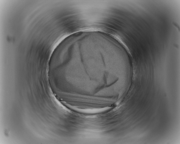 X0000099561484200806131223