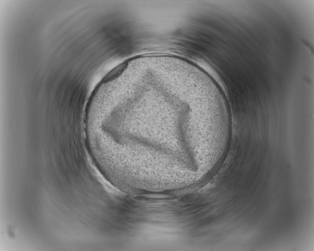 X0000099561485200806131223