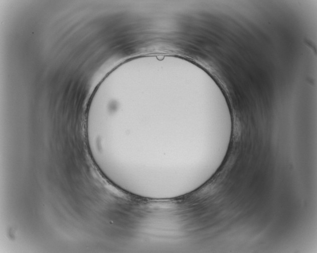 X0000099561486200806131223