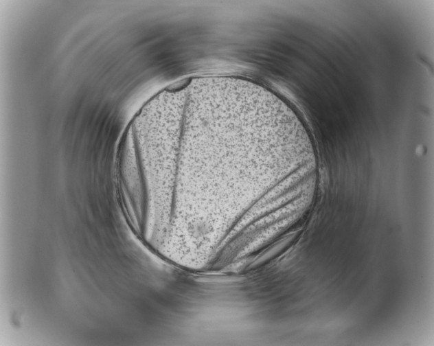 X0000099561487200806131223