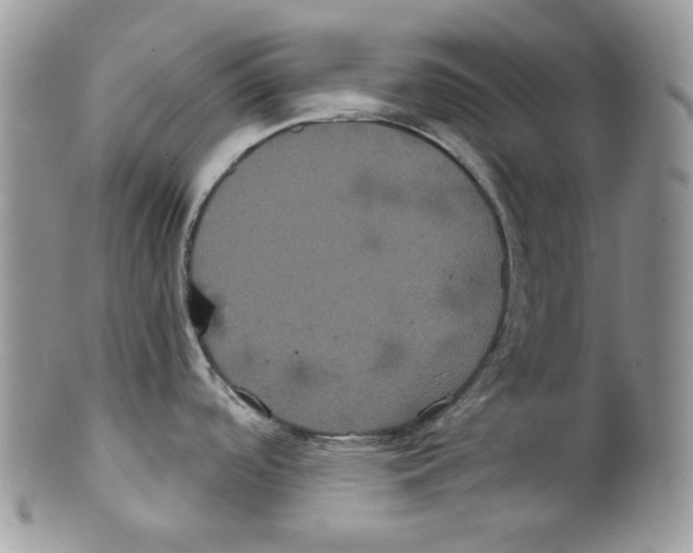 X0000099561488200806131223