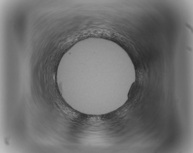 X0000099561489200806131222