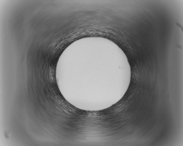 X0000099561490200806131222