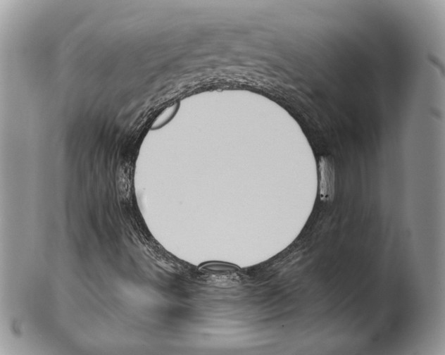 X0000099561491200806131222