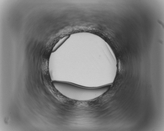 X0000099561492200806131222