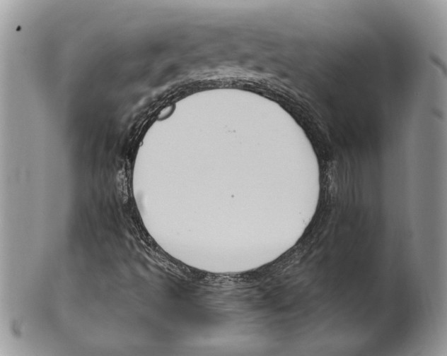 X0000099561493200806131222