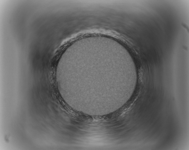 X0000099561494200806131222