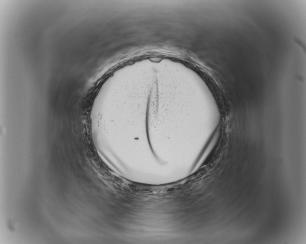 X0000099561496200806131222