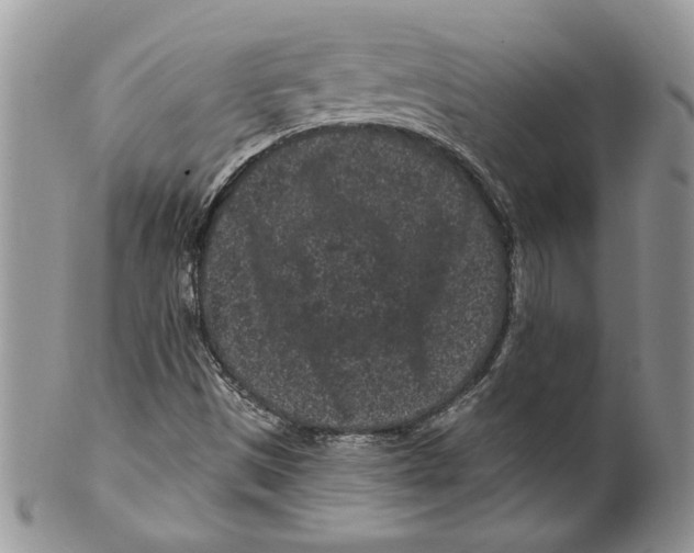 X0000099561497200806131222