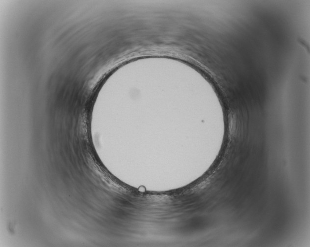 X0000099561498200806131222