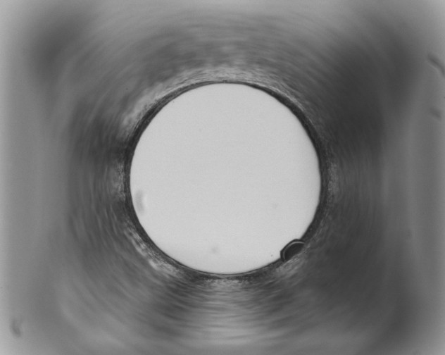 X0000099561499200806131222