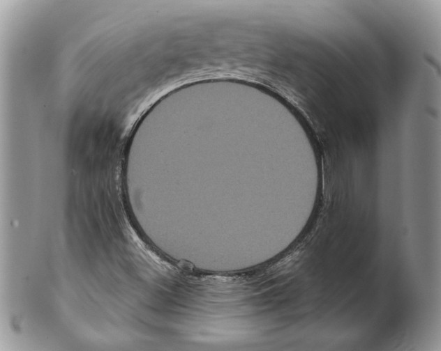 X0000099561500200806131222