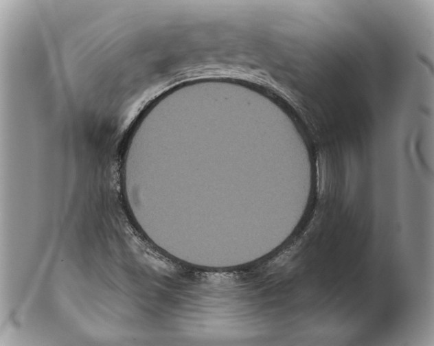 X0000099561501200806131222