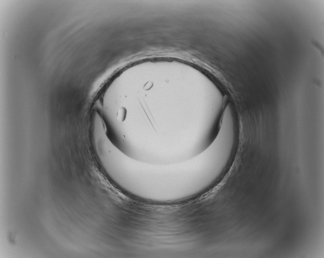 X0000099561502200806131222