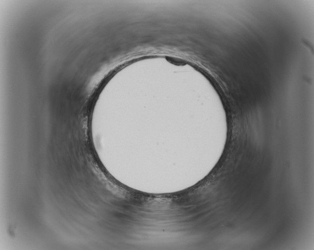 X0000099561503200806131222