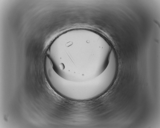 X0000099561504200806131222