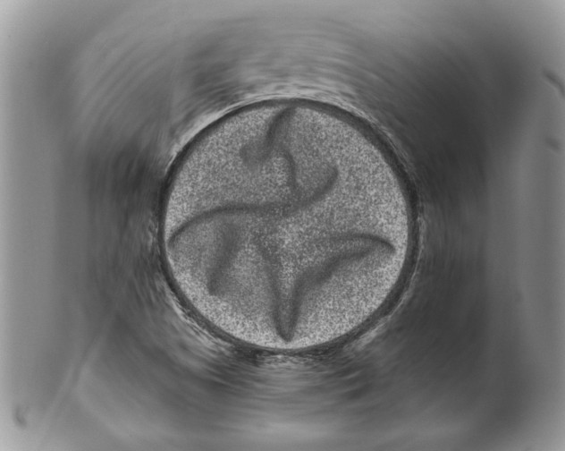 X0000099561505200806131222