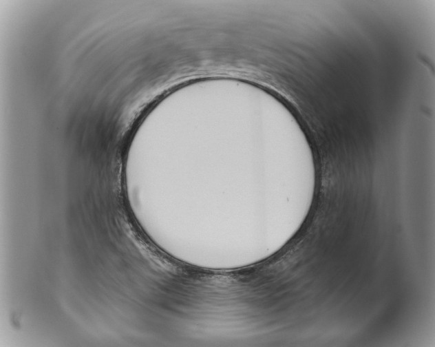 X0000099561507200806131223