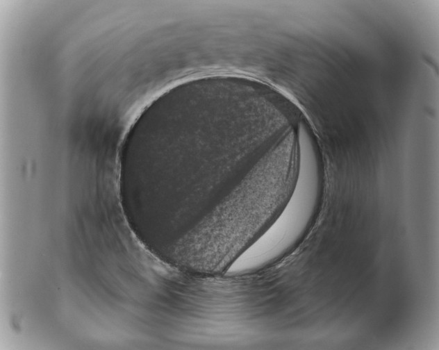 X0000099561508200806131223