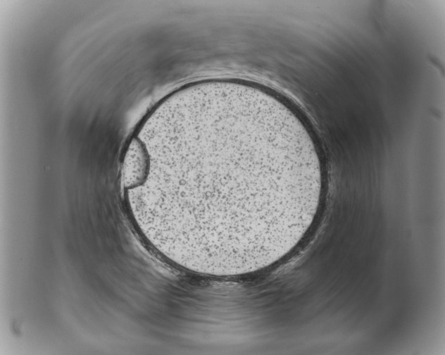 X0000099561509200806131223