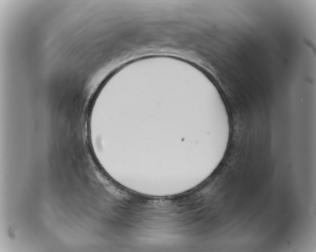 X0000099561511200806131223