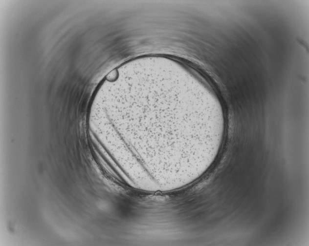 X0000099561513200806131223