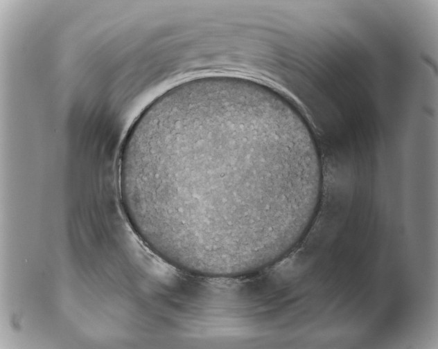 X0000099561514200806131223