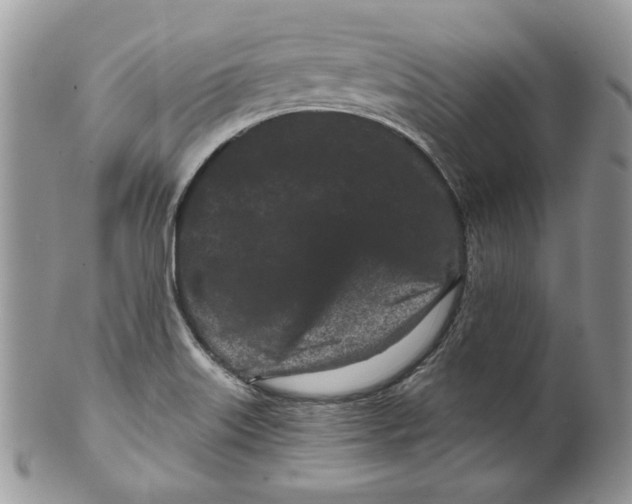 X0000099561515200806131223