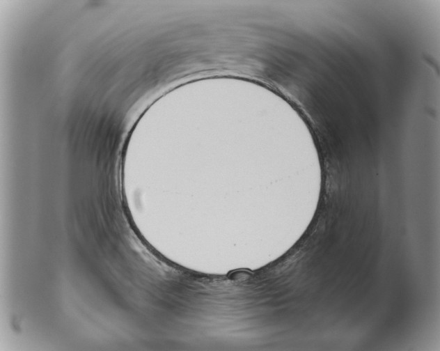 X0000099561516200806131223