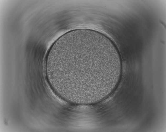 X0000099561517200806131223