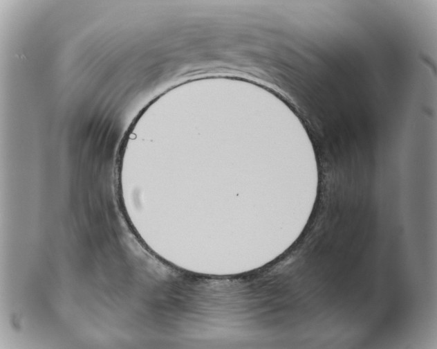 X0000099561518200806131223