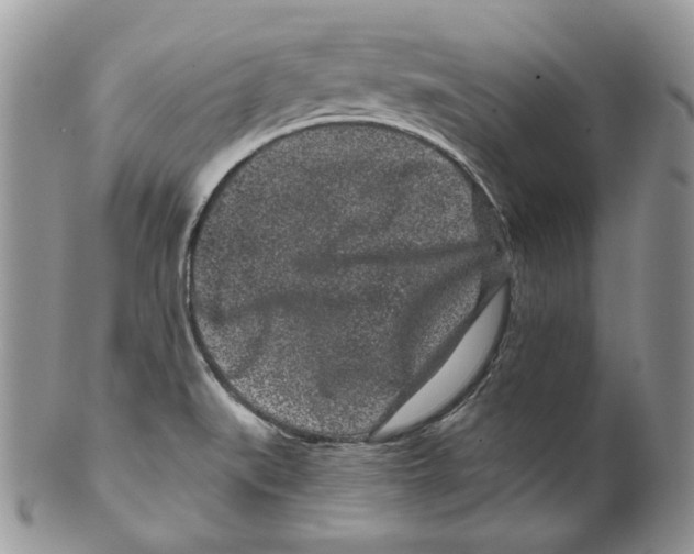 X0000099561519200806131223