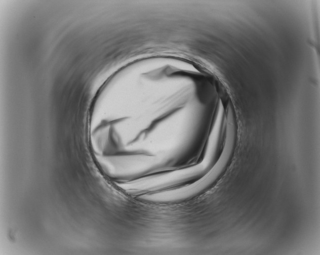 X0000099561520200806131223