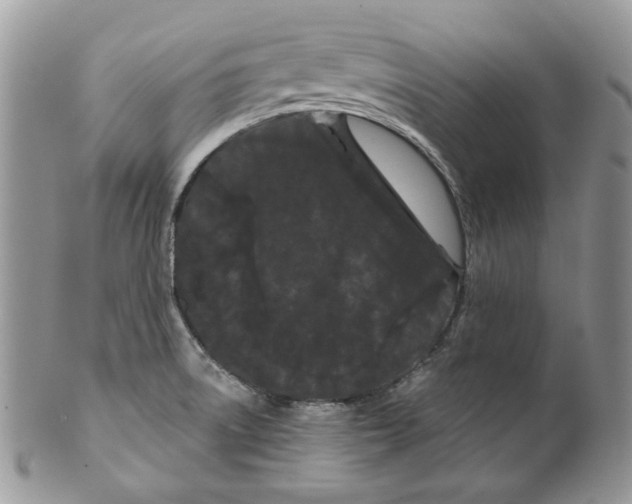 X0000099561522200806131223