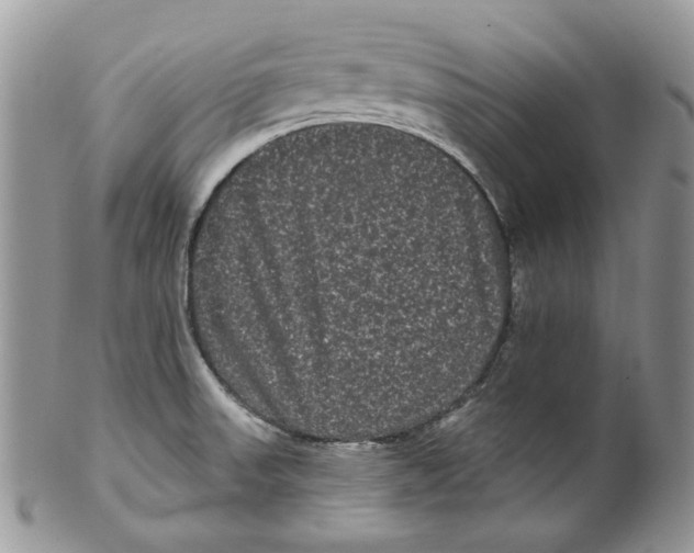 X0000099561523200806131223